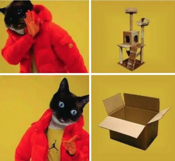 Drake's Hotline Bling but Cats